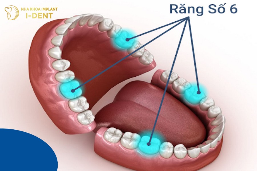 Rang-so-6