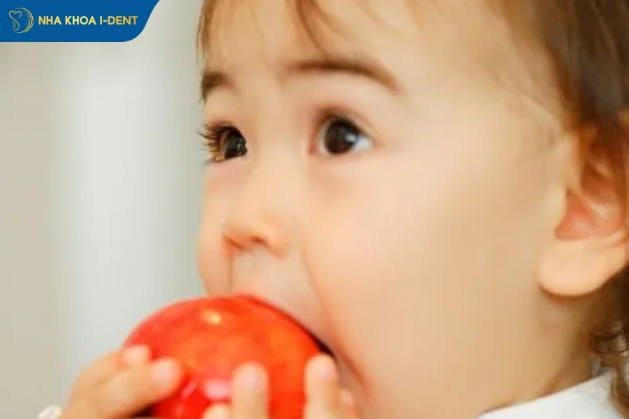 nhổ răng sữa bao nhiêu tiền